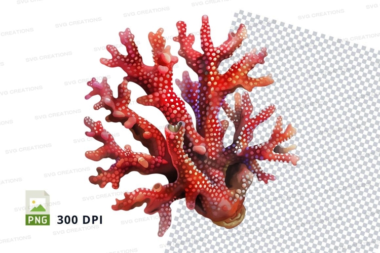 Vibrant coral reef clipart