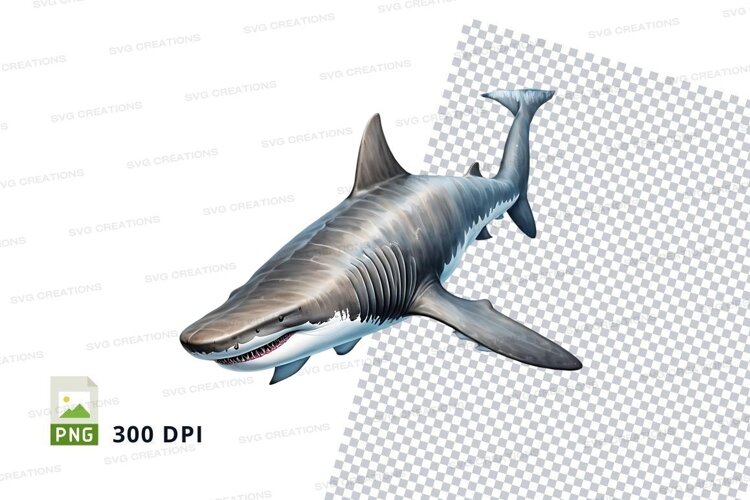Great white shark example image 1