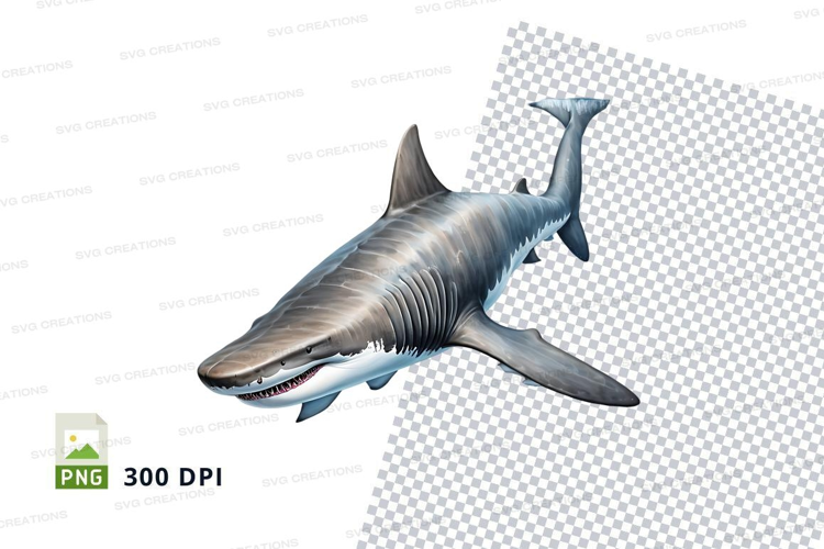 Great white shark