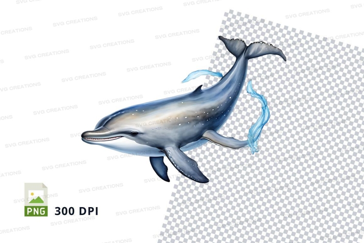 Dolphin Clipart
