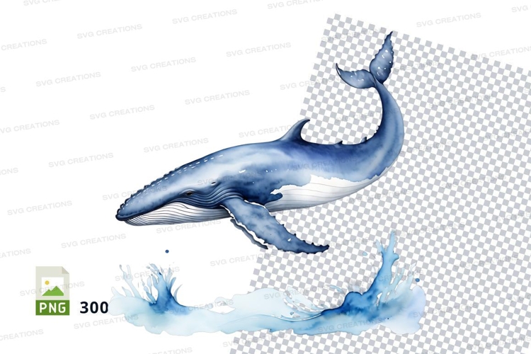 Leaping humpback whale