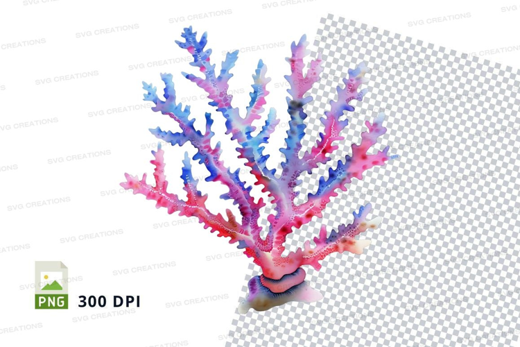 Colorful coral reef