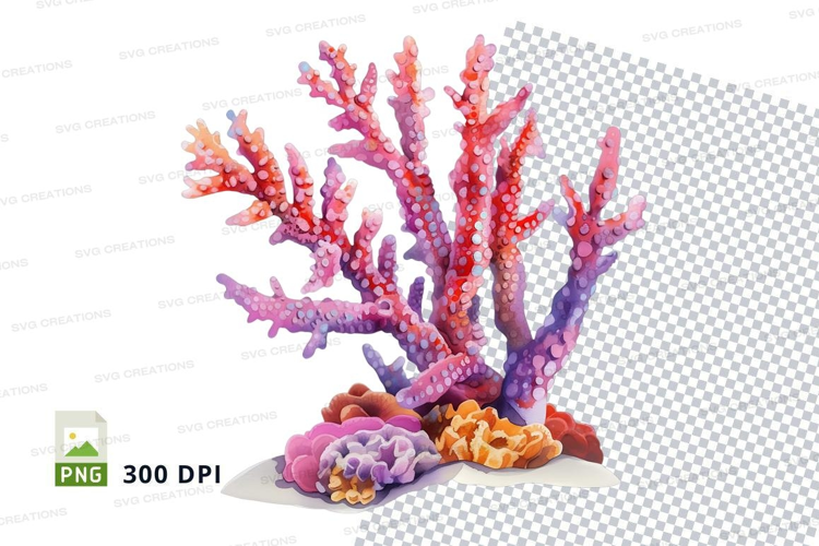 Colorful coral reef