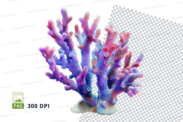 Colorful coral reef