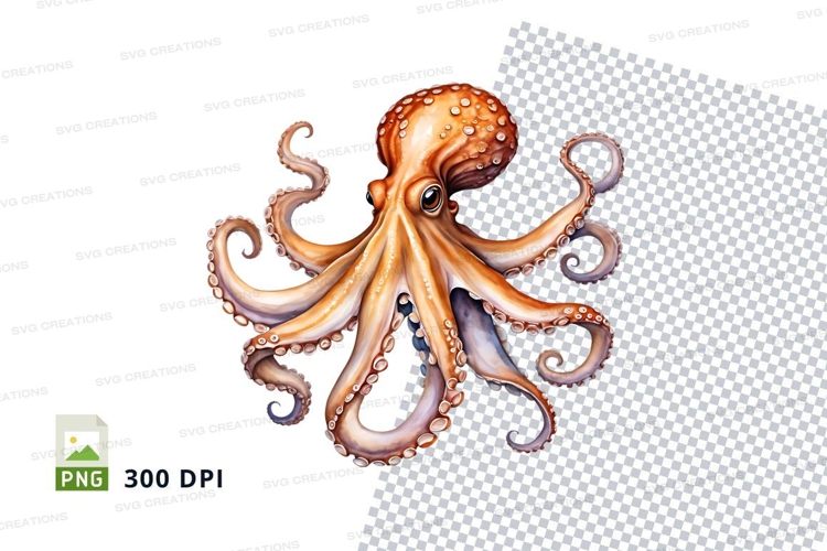Octopus Illustration Image 19