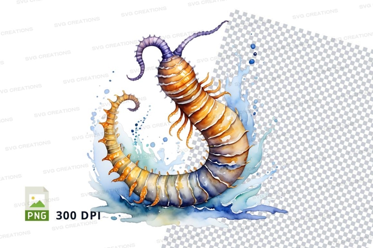 Shell Illustration Image 23
