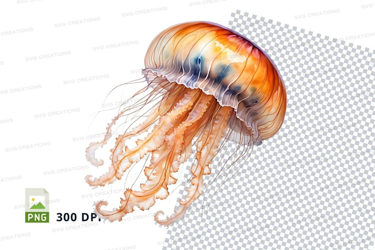 Vibrant jellyfish