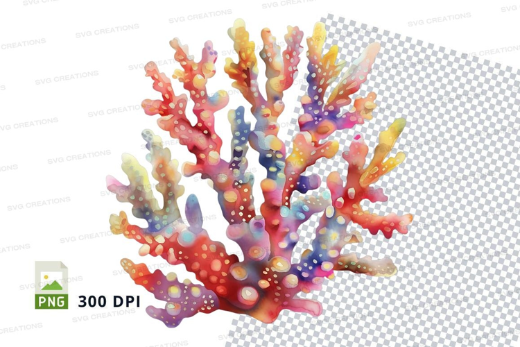 Colorful coral reef