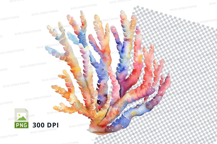 Colorful coral reef
