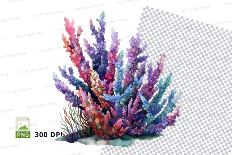 Colorful coral reef
