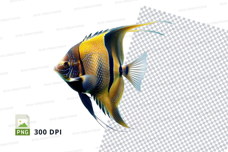 Vibrant tropical fish