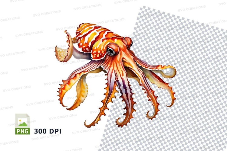 Octopus Illustration Image 16