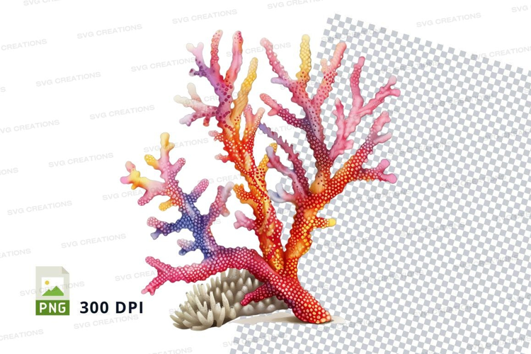 Colorful coral reef