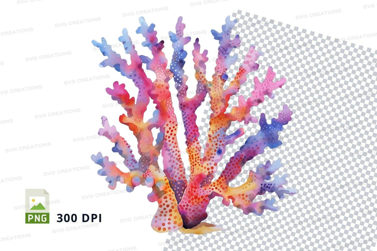 Colorful coral reef
