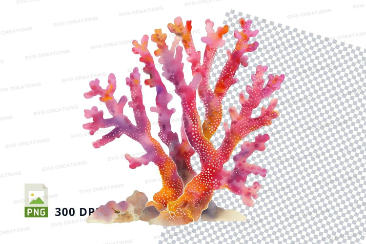 Colorful coral reef