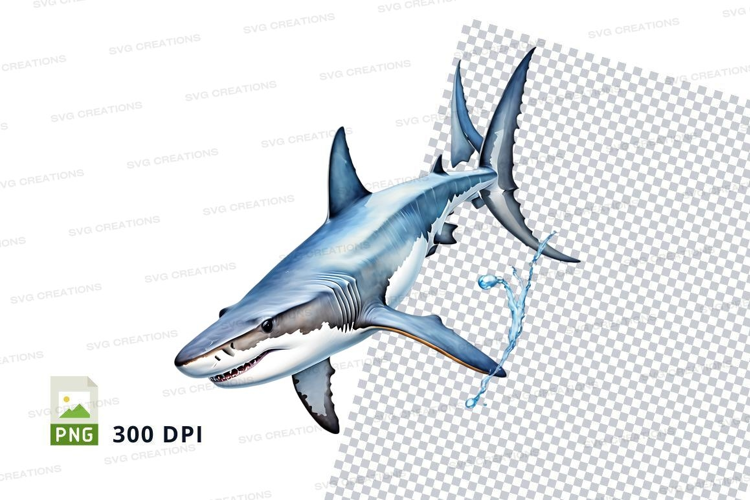 Great white shark