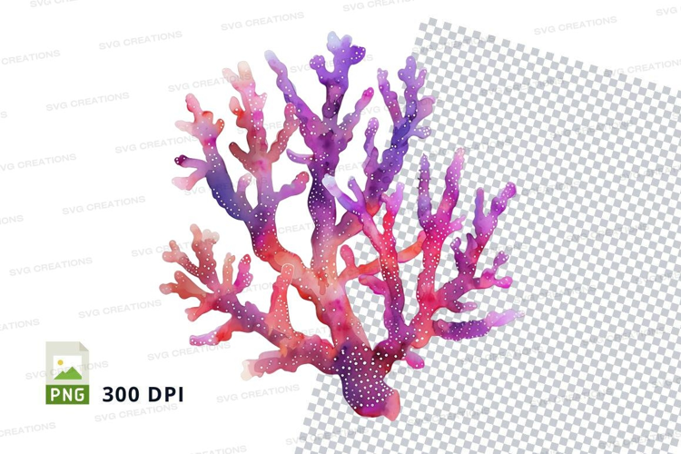 Colorful coral reef