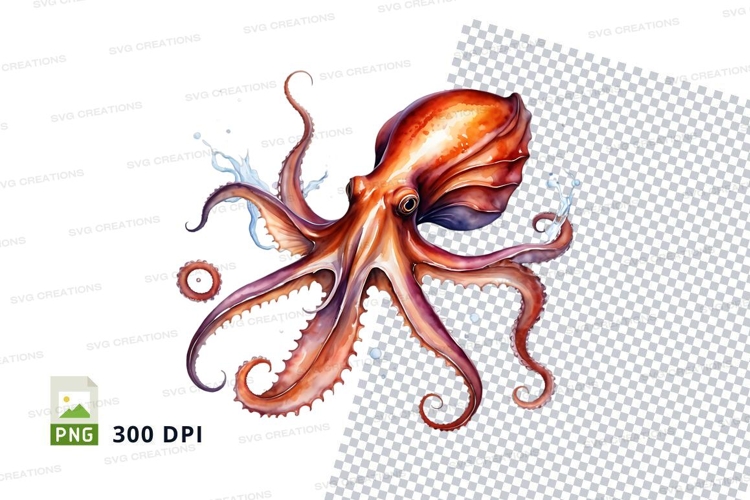 Octopus Illustration Image 15