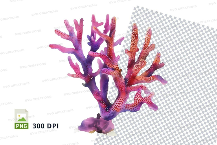Colorful coral reef