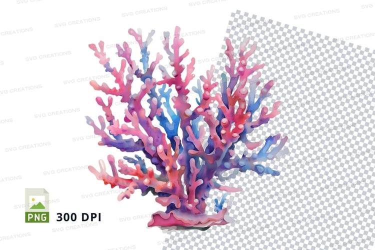 Colorful coral reef