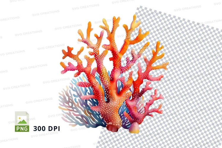 Colorful coral reef