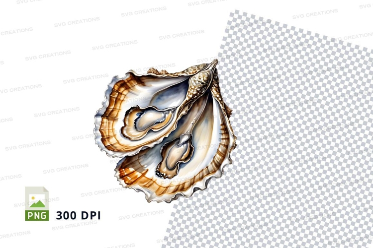 Open seashell clipart
