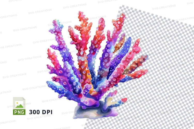 Colorful coral reef