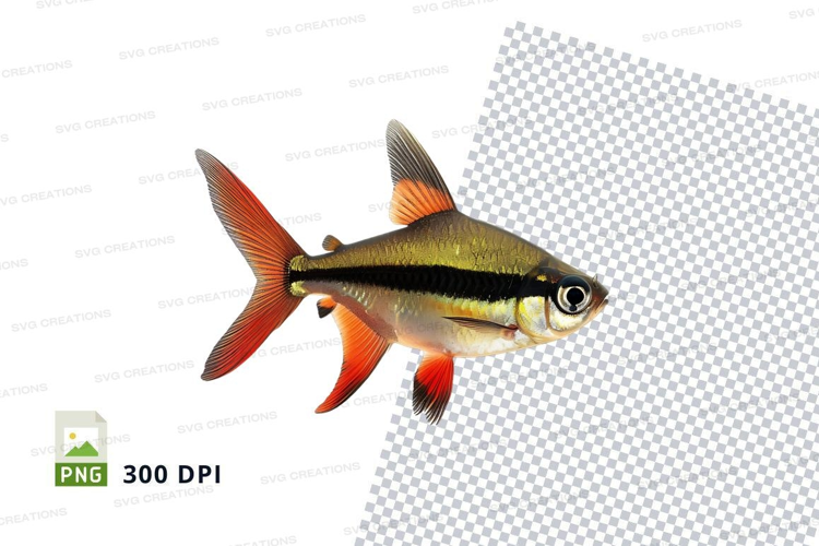 Vibrant tropical fish