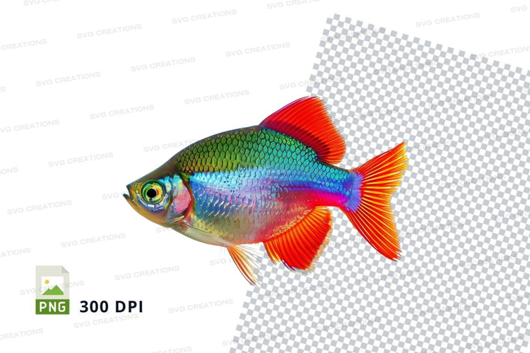 Colorful tropical fish