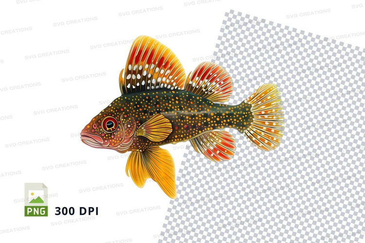 Colorful tropical fish
