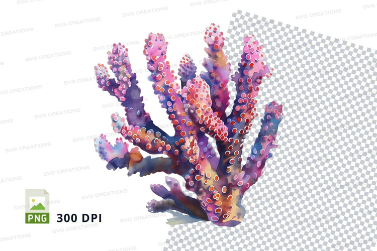 Colorful coral reef
