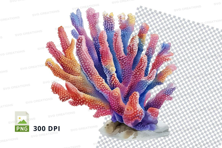 Colorful coral reef