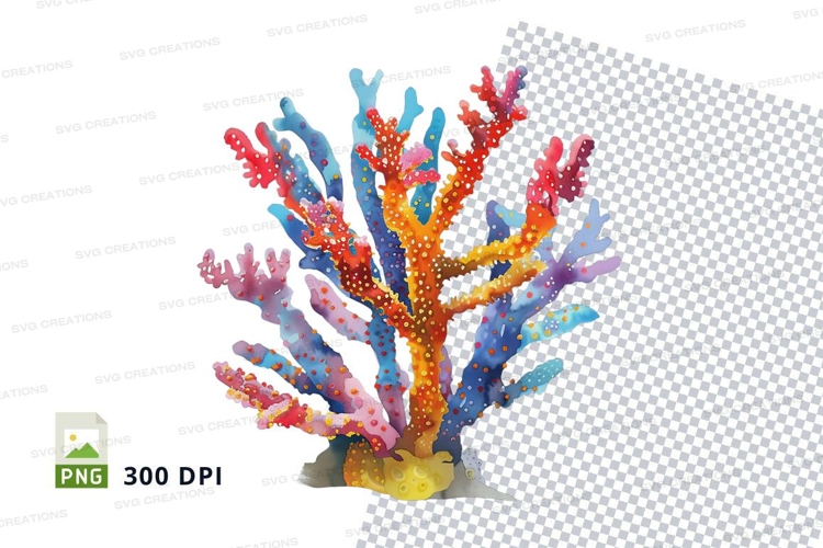 Colorful coral reef