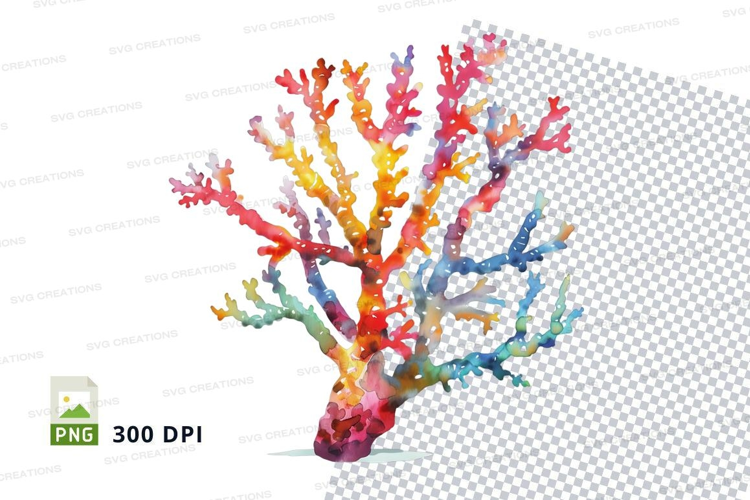 Colorful coral reef