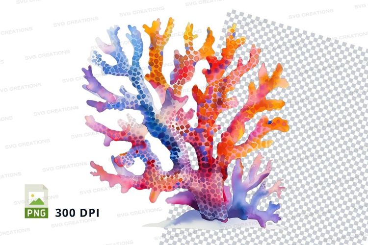 Colorful coral reef