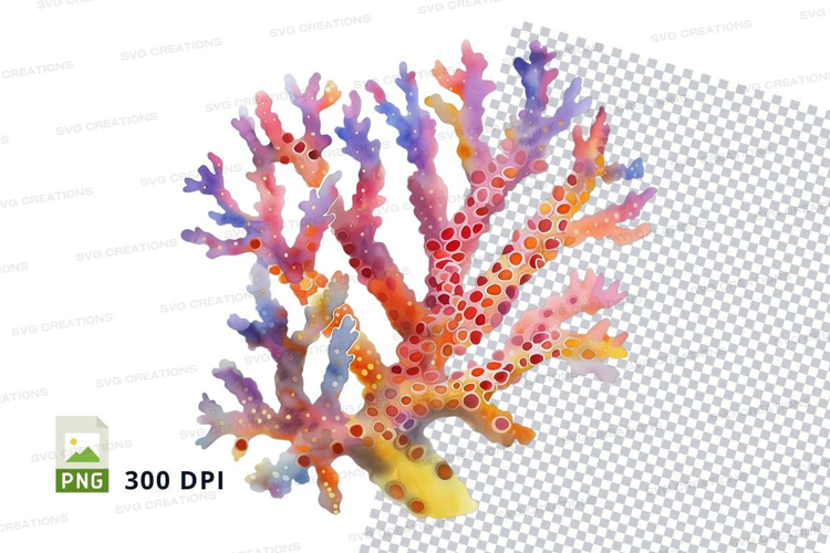 Colorful coral reef