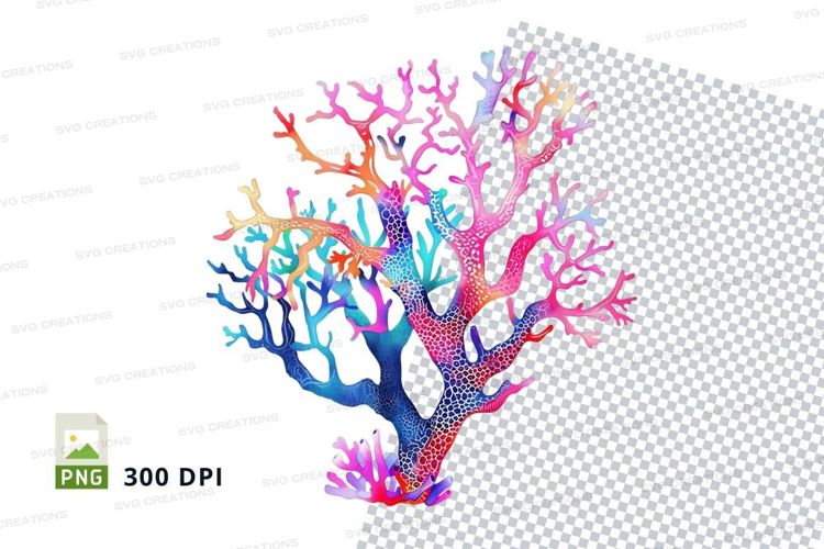 Colorful coral reef