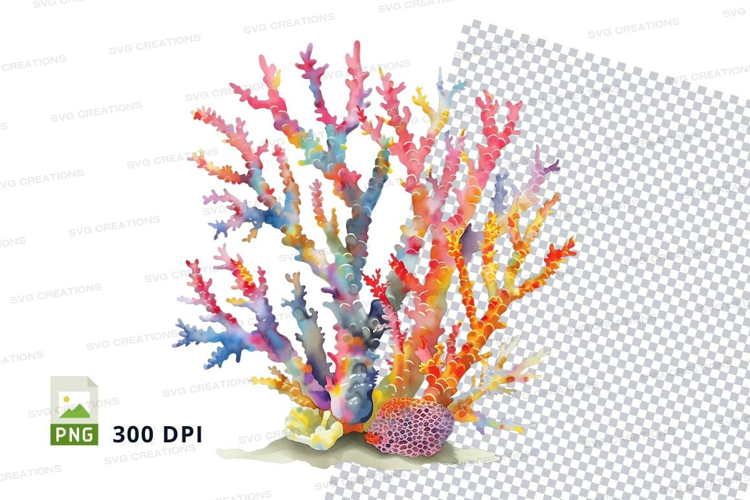 Colorful coral reef