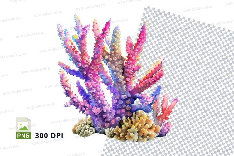 Colorful coral reef