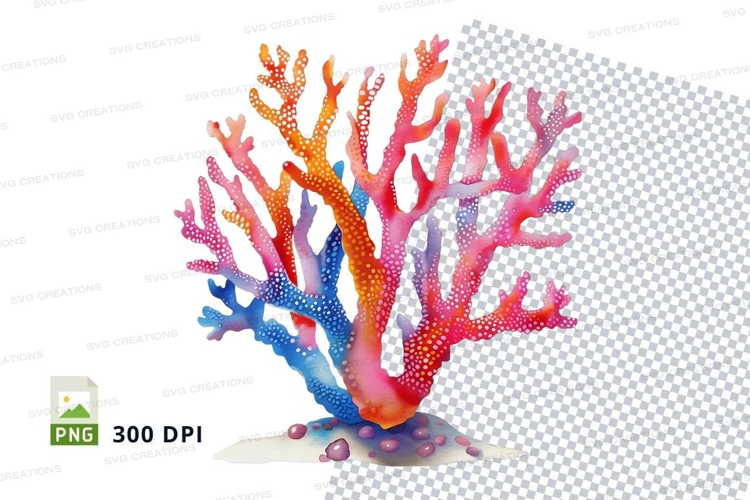 Colorful coral reef
