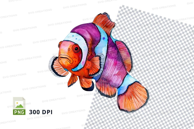 Colorful clownfish