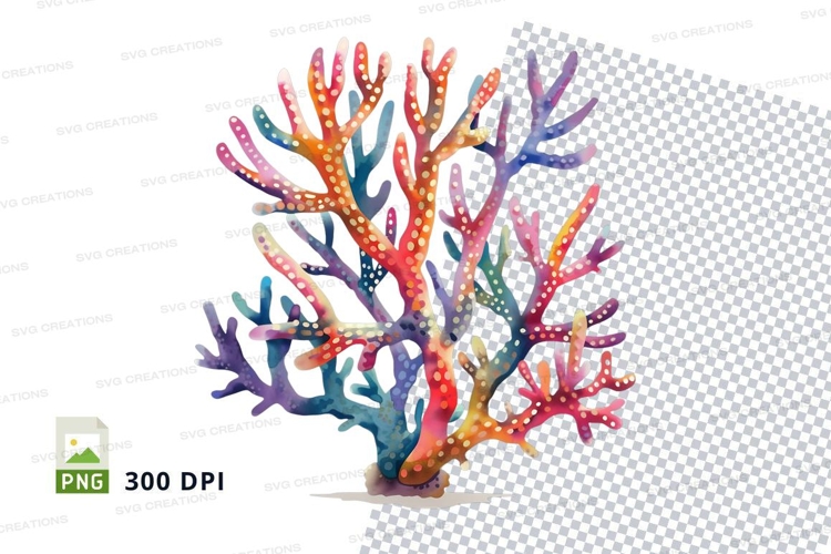 Colorful coral reef