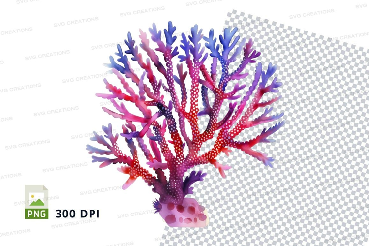 Colorful coral reef
