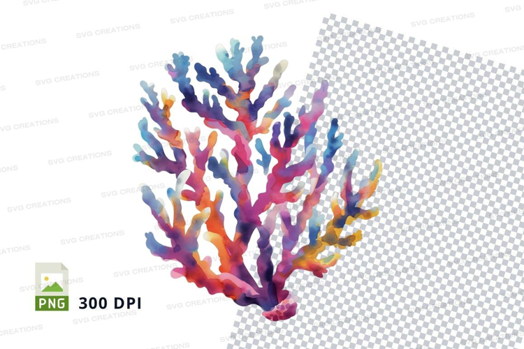 Colorful coral reef