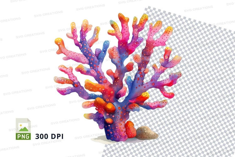 Colorful coral reef