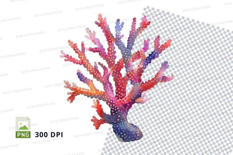 Colorful coral reef