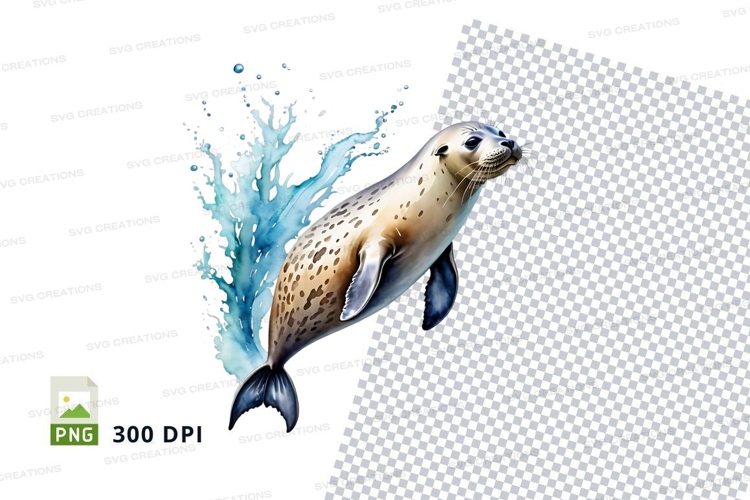 Playful seal in water
