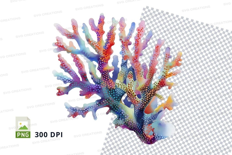 Colorful coral reef