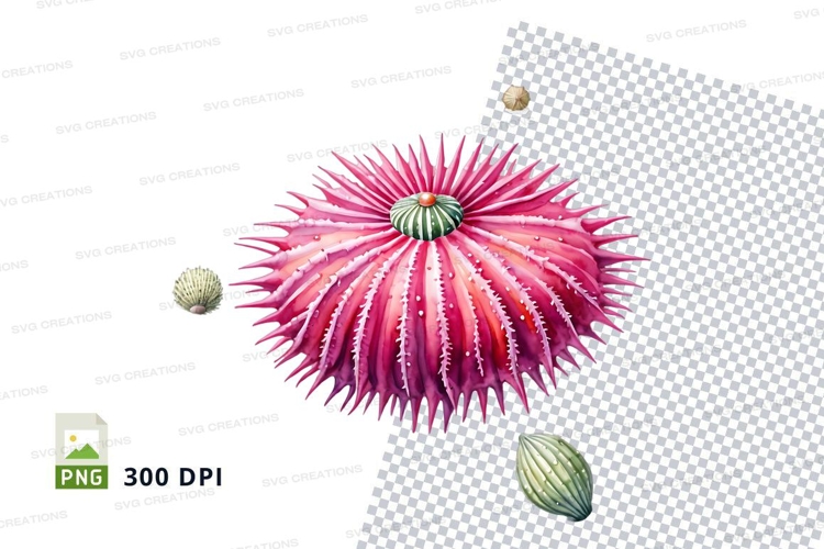 Sea Shell Clipart Image 13