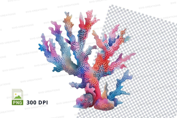 Colorful coral reef